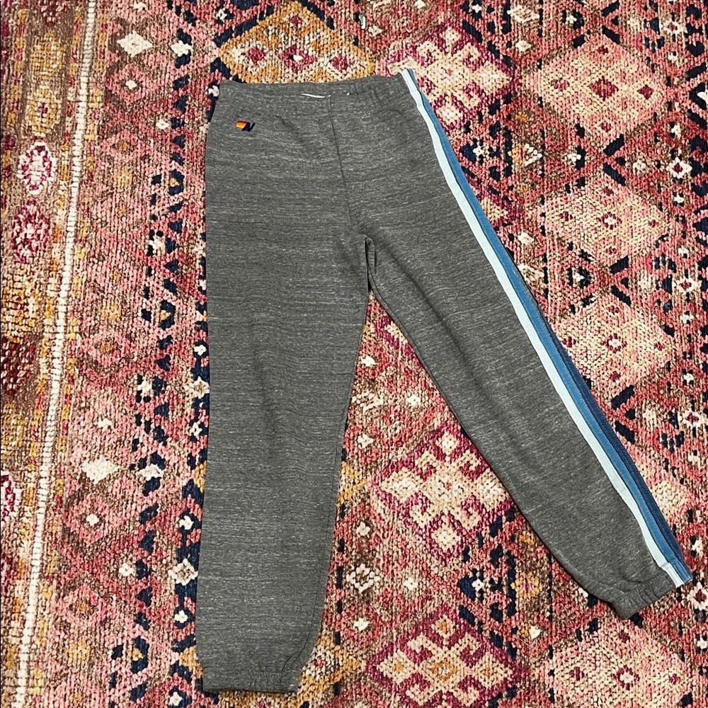 Aviator Nation Gray Joggers with Blue and White Stripes